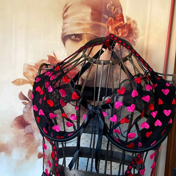 NWT Victoria’s Secret Sheer Sweet Négligé Top Piece Hearts Lace XL - Picture 2 of 7